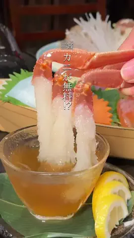 さくおグルメのTikTok投稿