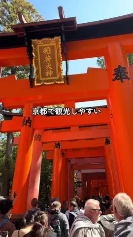 Sample2023のTikTok投稿