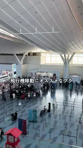 Sample2023のTikTok投稿