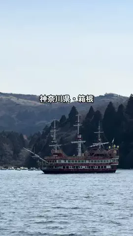 Sample2023のTikTok投稿
