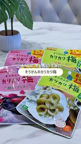 *⋆⸜  𝚔𝚒𝚖𝚒𝚌𝚑𝚊𝚗𝚗⸝⋆*のTikTok投稿
