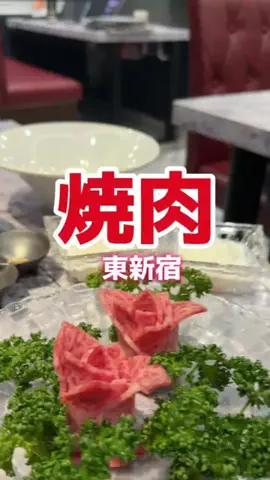 藤川奈々のTikTok投稿