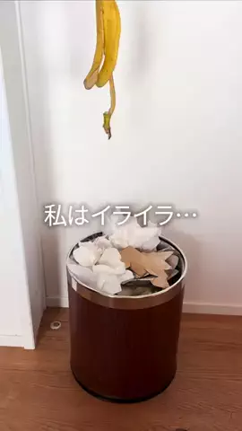 piyomi_kurashiのTikTok投稿