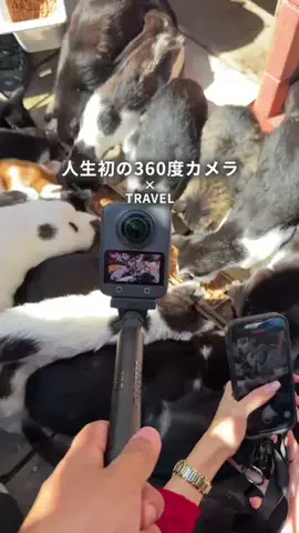 NEOトラベラーズ | 関西発🌏のTikTok投稿