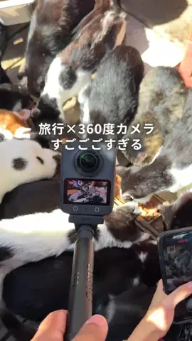 NEOトラベラーズ | 関西発🌏のTikTok投稿