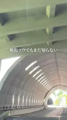新潟グルメ/NIIGTA SELECTのTikTok投稿