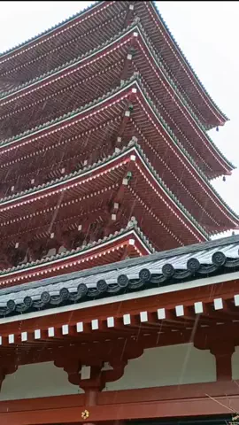 トトのTikTok投稿