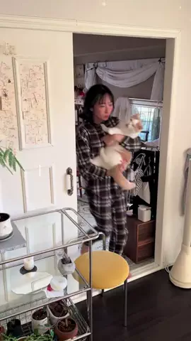 𝙢𝙪𝙢𝙚 / ﾑﾒ ‍のTikTok投稿