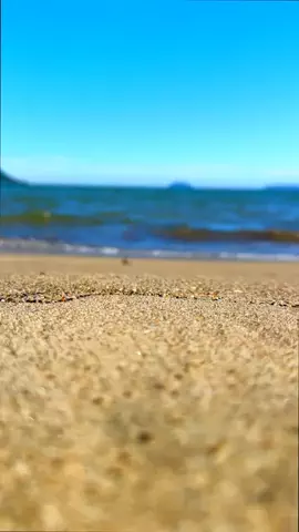オジめし福岡筑豊のTikTok投稿