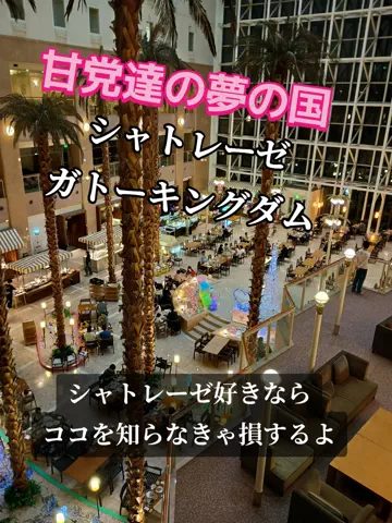 トトのTikTok投稿