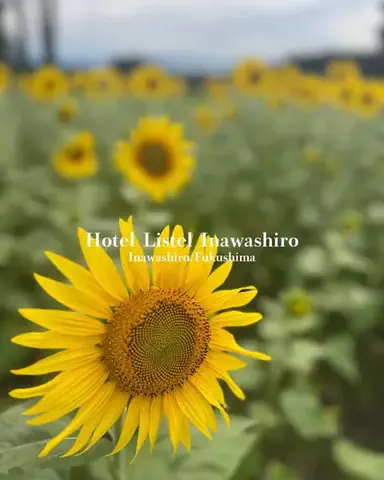 すなぎも⌇グルメ旅🍴✈️のTikTok投稿