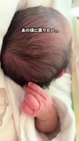さなママ｜0歳ママを助ける子育て術🌷のTikTok投稿