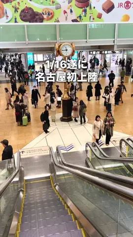 monkichi._.nagoyaのTikTok投稿