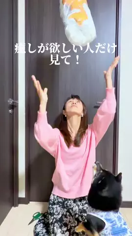かな｜動画が垢抜ける神アイテム紹介のTikTok投稿