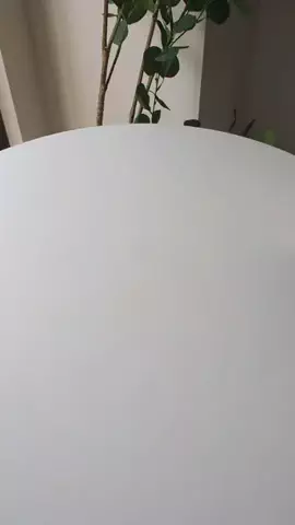 さば | ズボライフのTikTok投稿