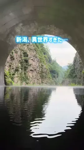 しずくのTikTok投稿