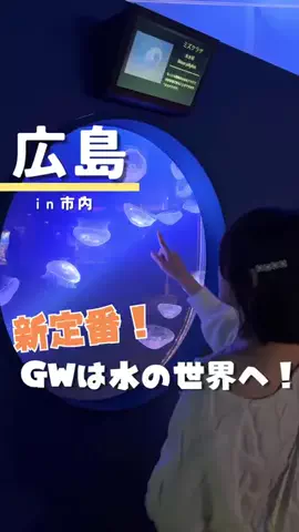 つこ🍋広島がすきすぎるOLのTikTok投稿