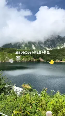 しずくのTikTok投稿