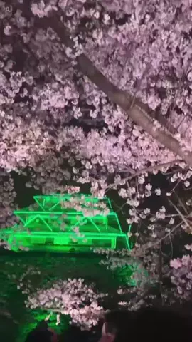 理想の息子のTikTok投稿