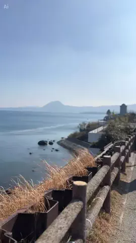 理想の息子のTikTok投稿