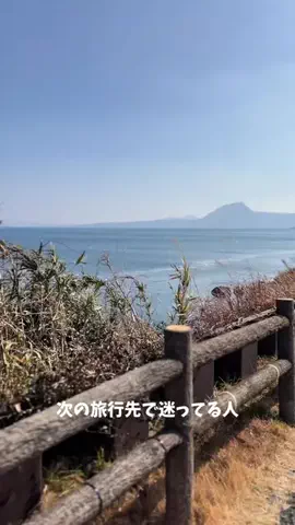 理想の息子のTikTok投稿