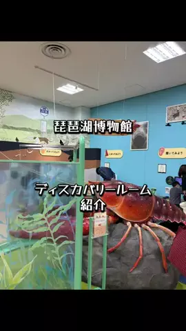 夕菜🍡のTikTok投稿