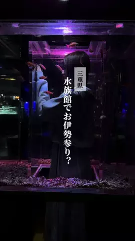 りほやん│三重県勝手に観光大使のTikTok投稿
