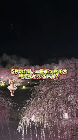 キャリアコンサル│佐藤のTikTok投稿