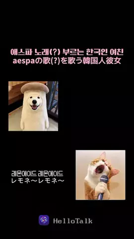 チェルのTikTok投稿