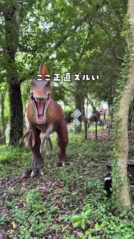 tabi_kids_kansaiのTikTok投稿