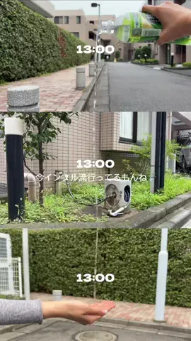 misaのTikTok投稿
