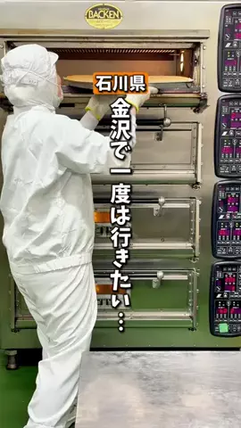 しーぱぱ|北陸・週末子連れお出かけのTikTok投稿