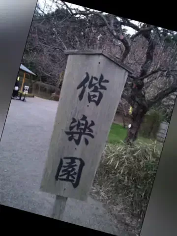 おじさんのTikTok投稿