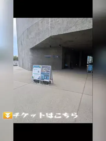 おじさんのTikTok投稿