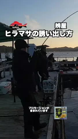 伊勢志摩つりとも研究所のTikTok投稿