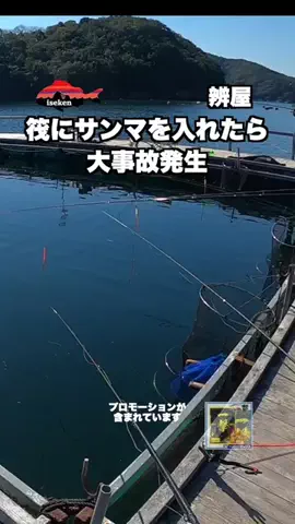 伊勢志摩つりとも研究所のTikTok投稿