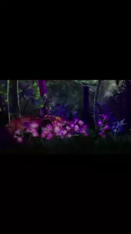 おじさんのTikTok投稿