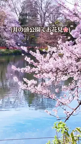 バイヤーらむこ｜東京の本気グルメのTikTok投稿