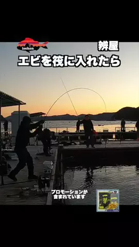 伊勢志摩つりとも研究所のTikTok投稿
