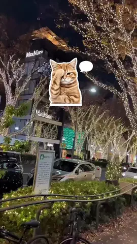 逆転大学生🔥 @就活👔のTikTok投稿
