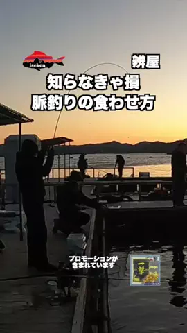 伊勢志摩つりとも研究所のTikTok投稿