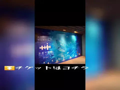 おじさんのTikTok投稿