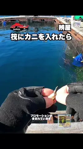 伊勢志摩つりとも研究所のTikTok投稿