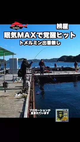 伊勢志摩つりとも研究所のTikTok投稿
