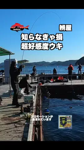 伊勢志摩つりとも研究所のTikTok投稿