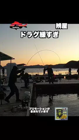 伊勢志摩つりとも研究所のTikTok投稿