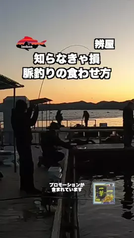 伊勢志摩つりとも研究所のTikTok投稿