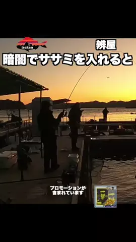 伊勢志摩つりとも研究所のTikTok投稿