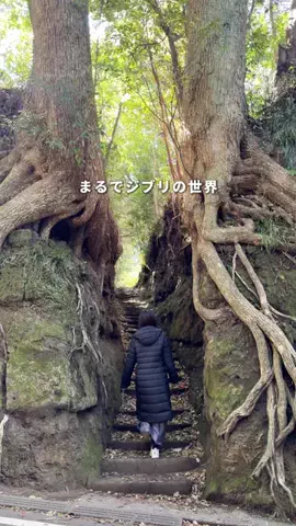なるみ｜週末デート・おでかけ情報のTikTok投稿