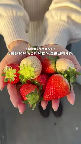なるみ｜週末デート・おでかけ情報のTikTok投稿